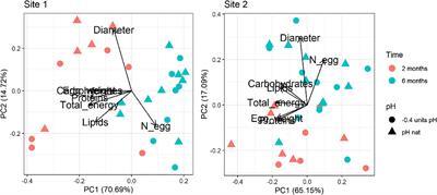 How do sea urchins prepare offspring to face ocean acidification? Gamete intraspecific differences and adaptability